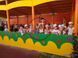 Shade canopy DIO241