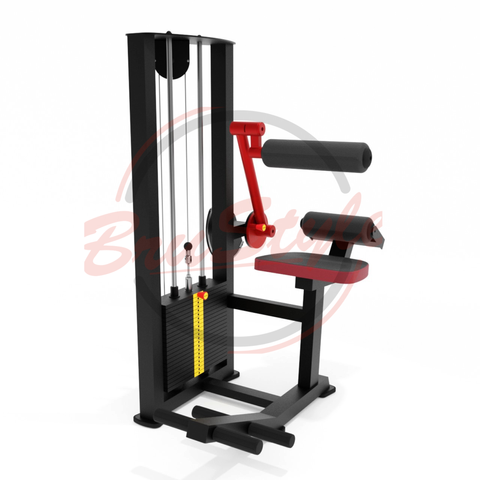 Back extensor (stack 120 kg) TC229.120